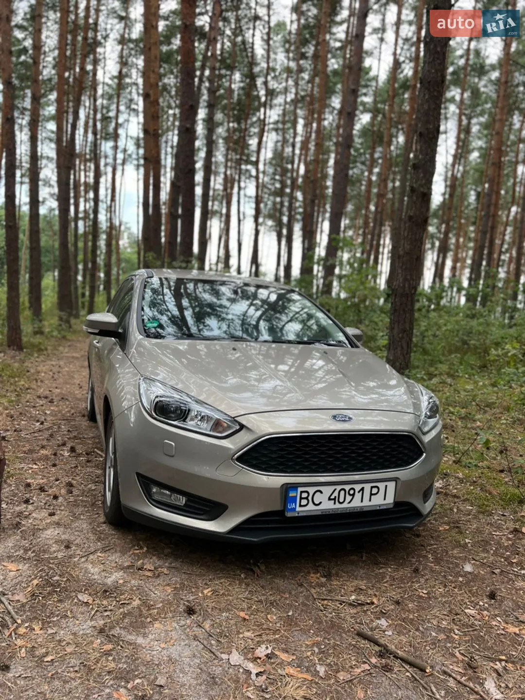 2016 Ford Focus - фото 1