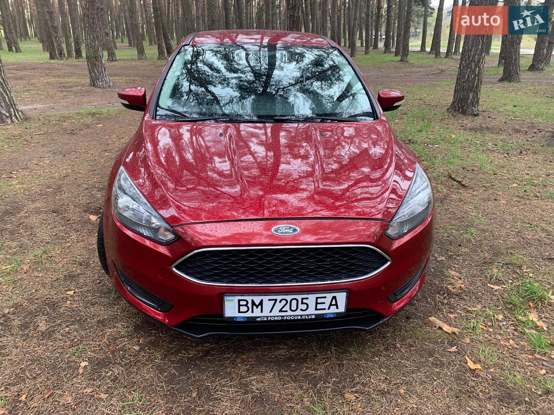 2015 Ford Focus - мініатюра 8