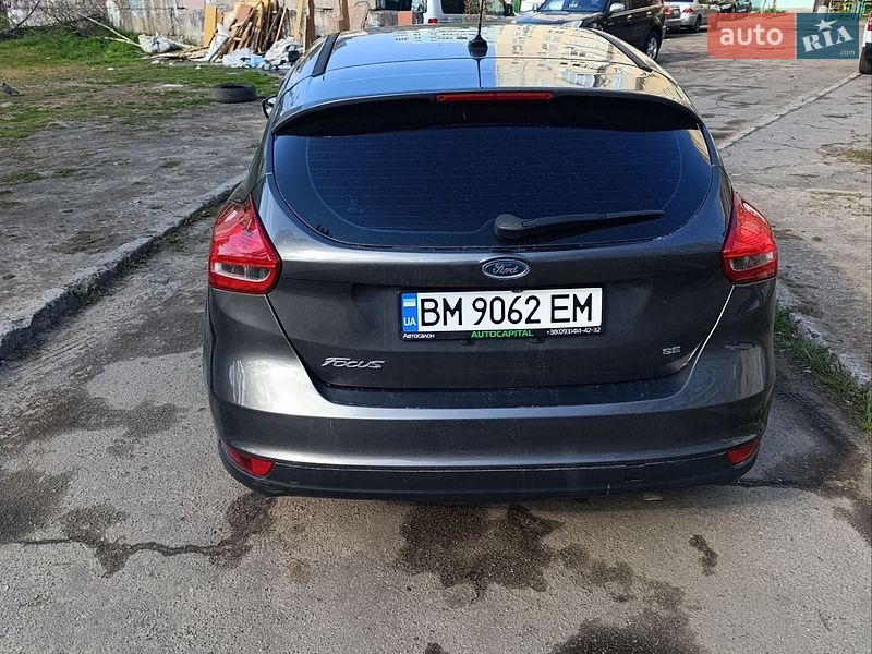 Хэтчбек Ford Focus 2016 в Киеве