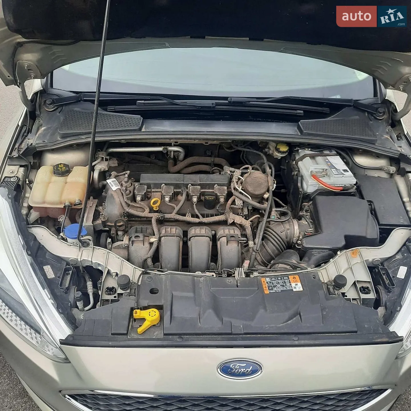 2015 Ford Focus - мініатюра 5