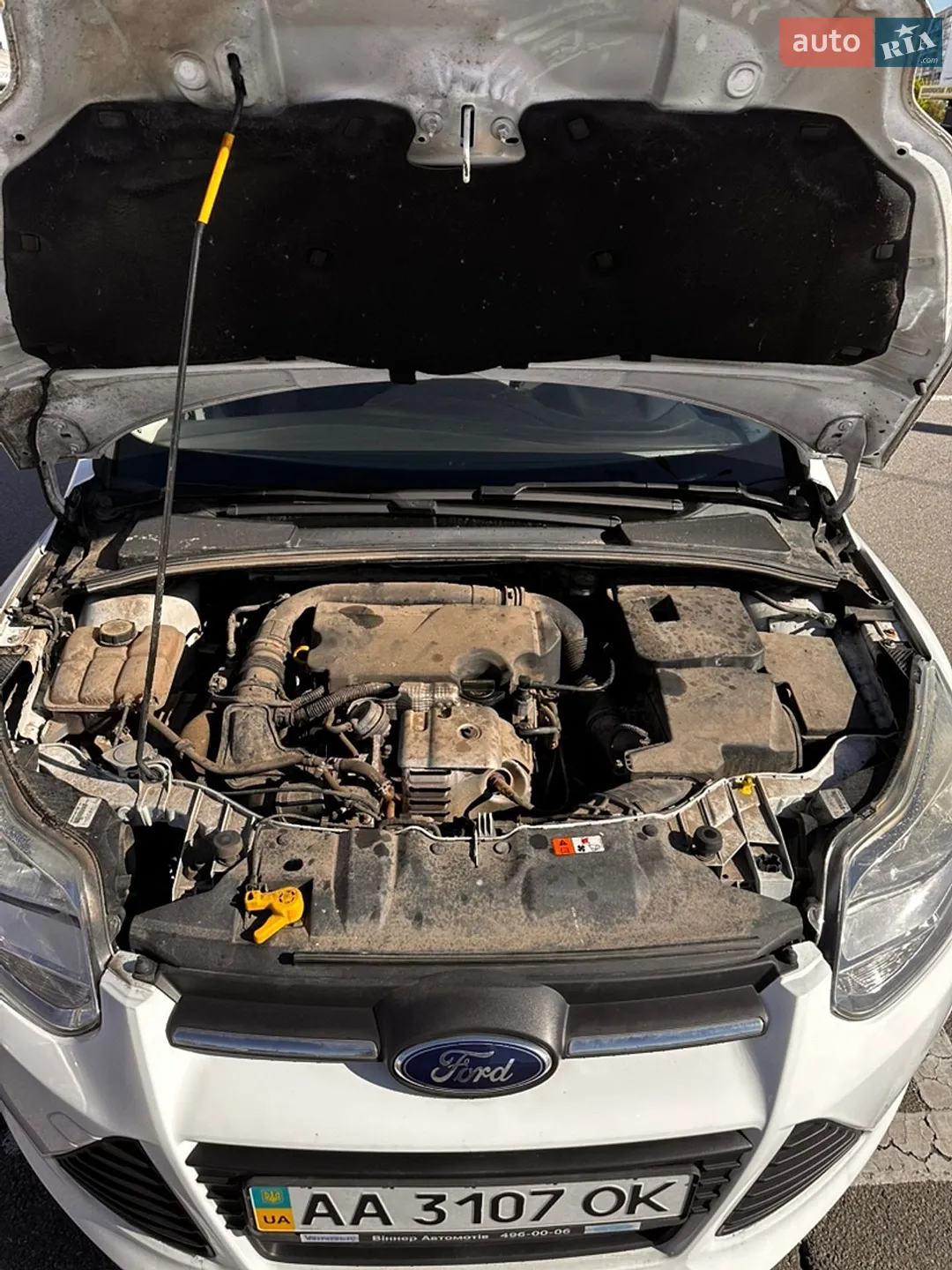 2014 Ford Focus - мініатюра 13