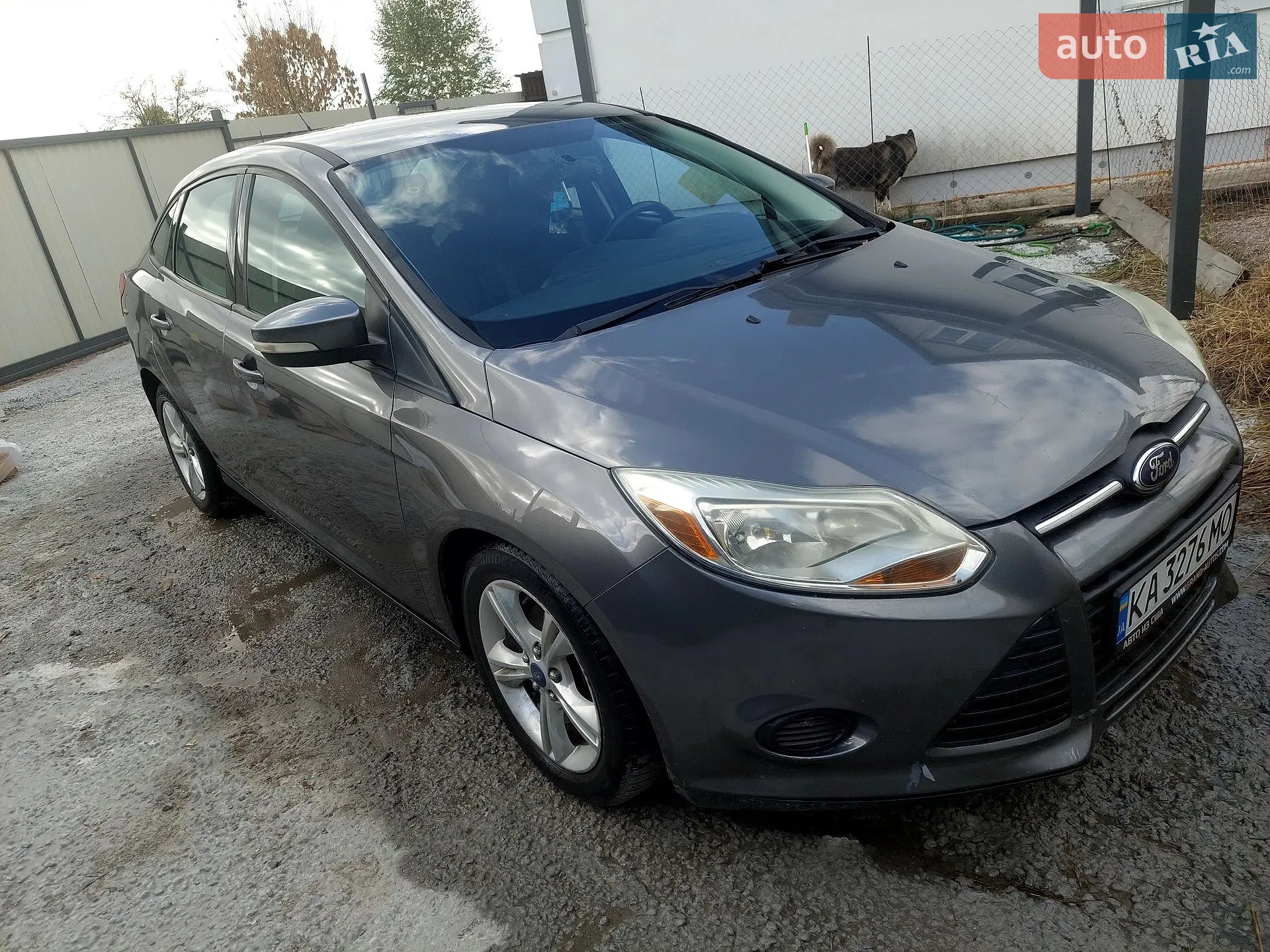 2013 Ford Focus - фото 1