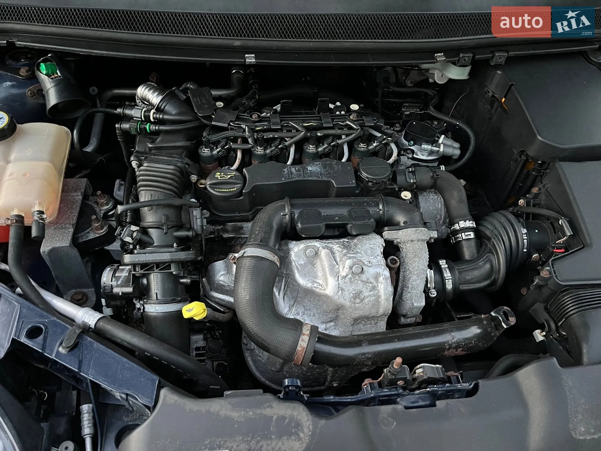 2010 Ford Focus - мініатюра 44