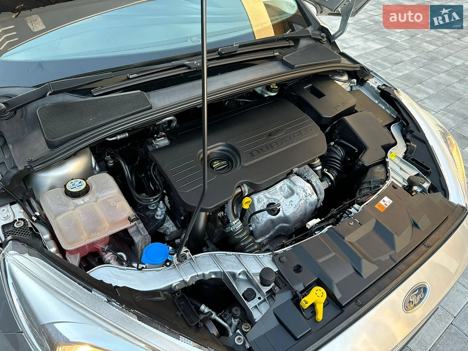 2015 Ford Focus - мініатюра 99