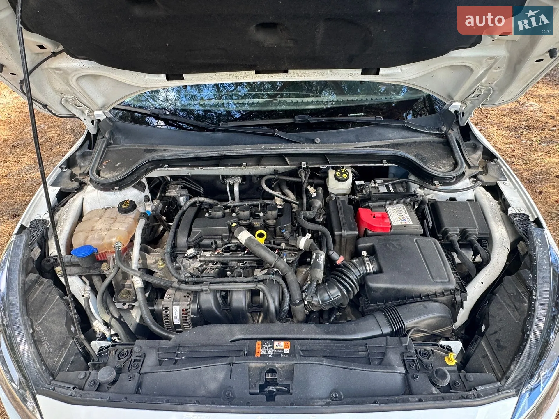 2020 Ford Focus - мініатюра 20