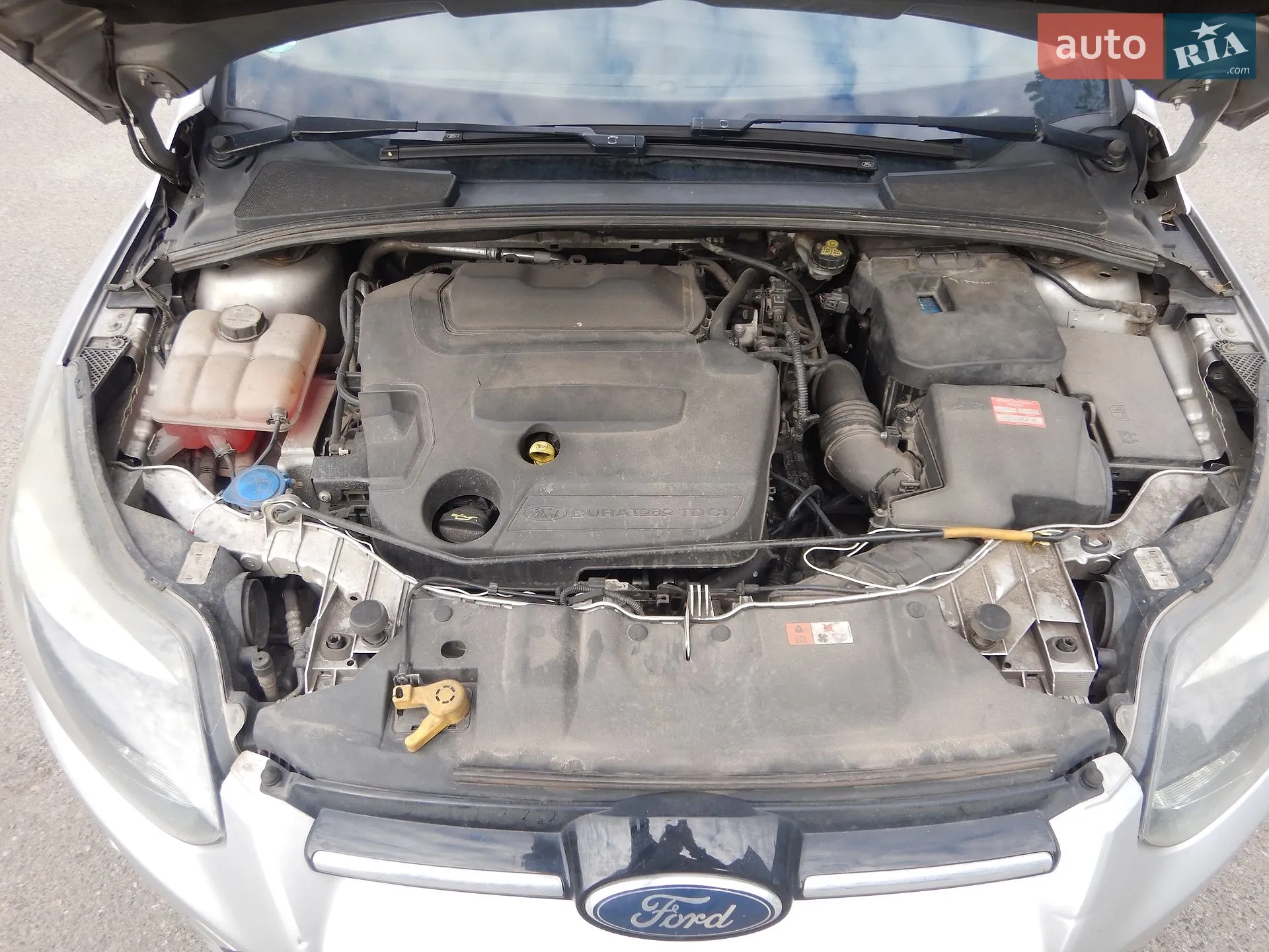 2011 Ford Focus - мініатюра 11