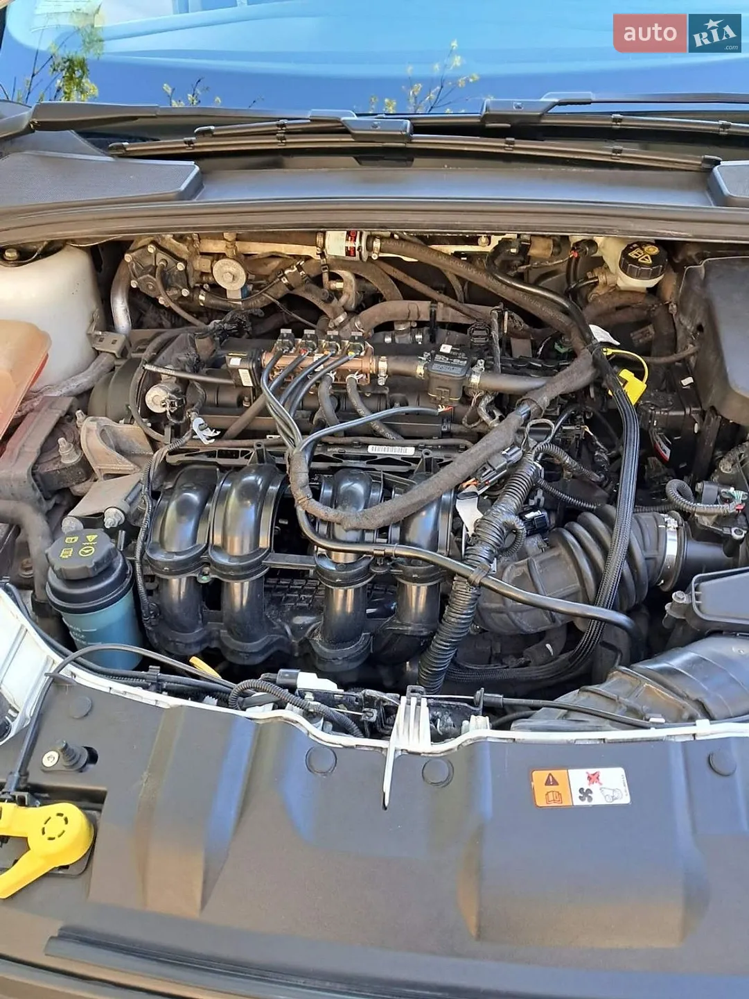 2012 Ford Focus - мініатюра 5