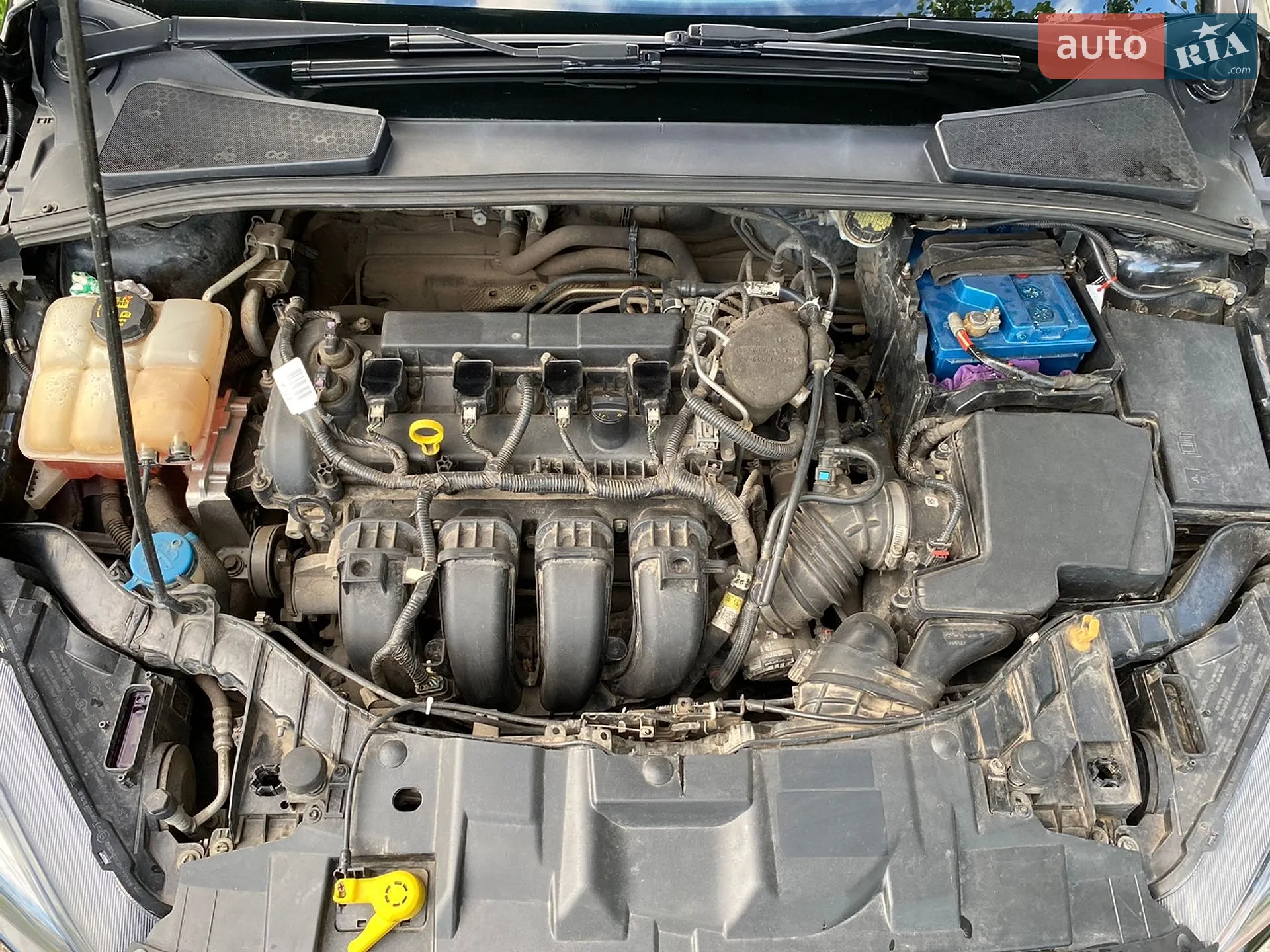 2015 Ford Focus - мініатюра 7