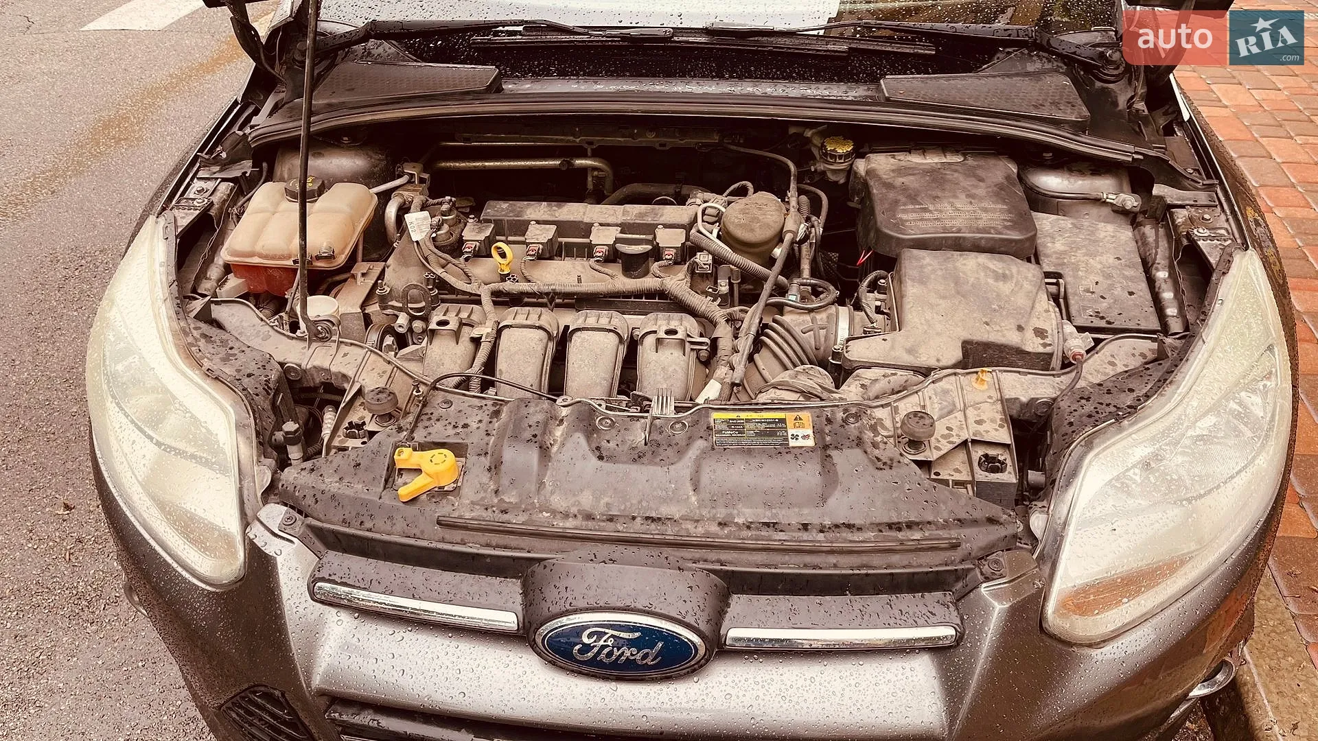 2013 Ford Focus - мініатюра 10