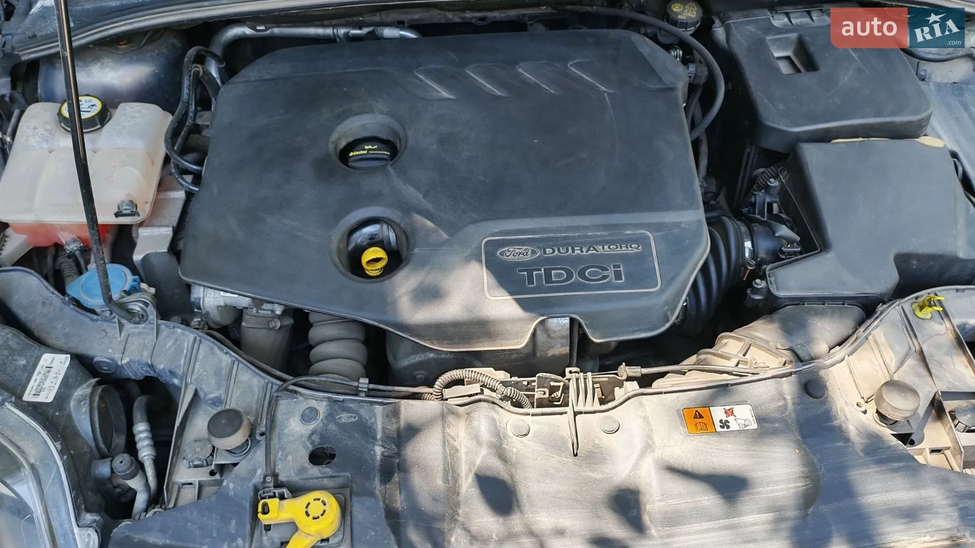 2014 Ford Focus - мініатюра 18