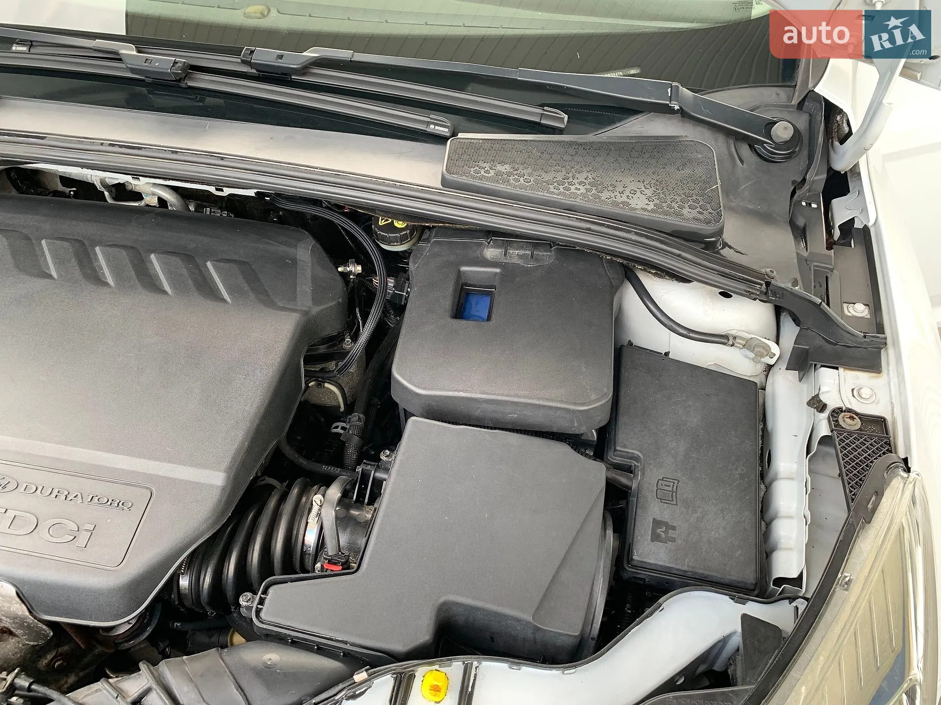 2013 Ford Focus - мініатюра 13