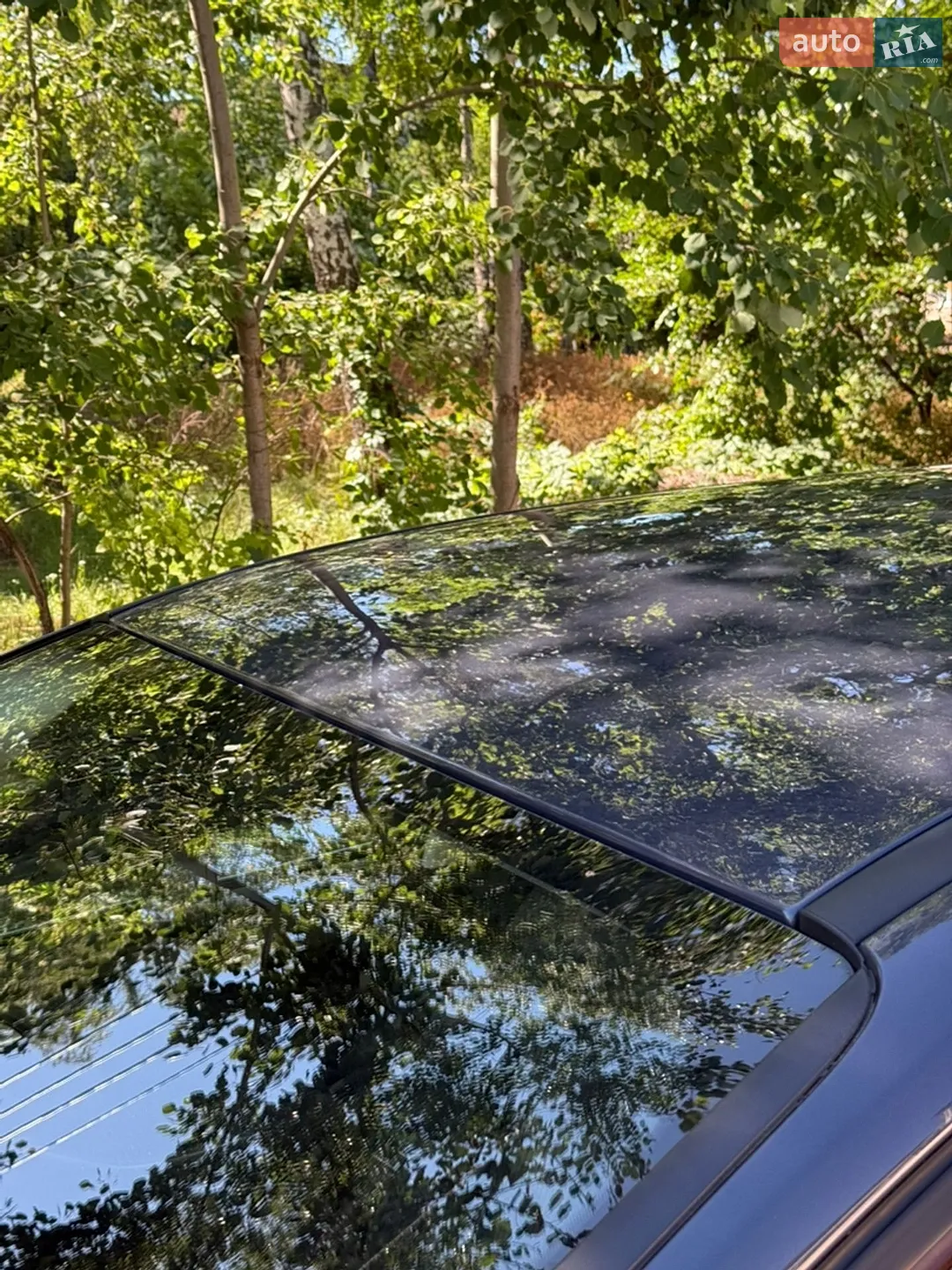 2013 Ford Focus - мініатюра 21