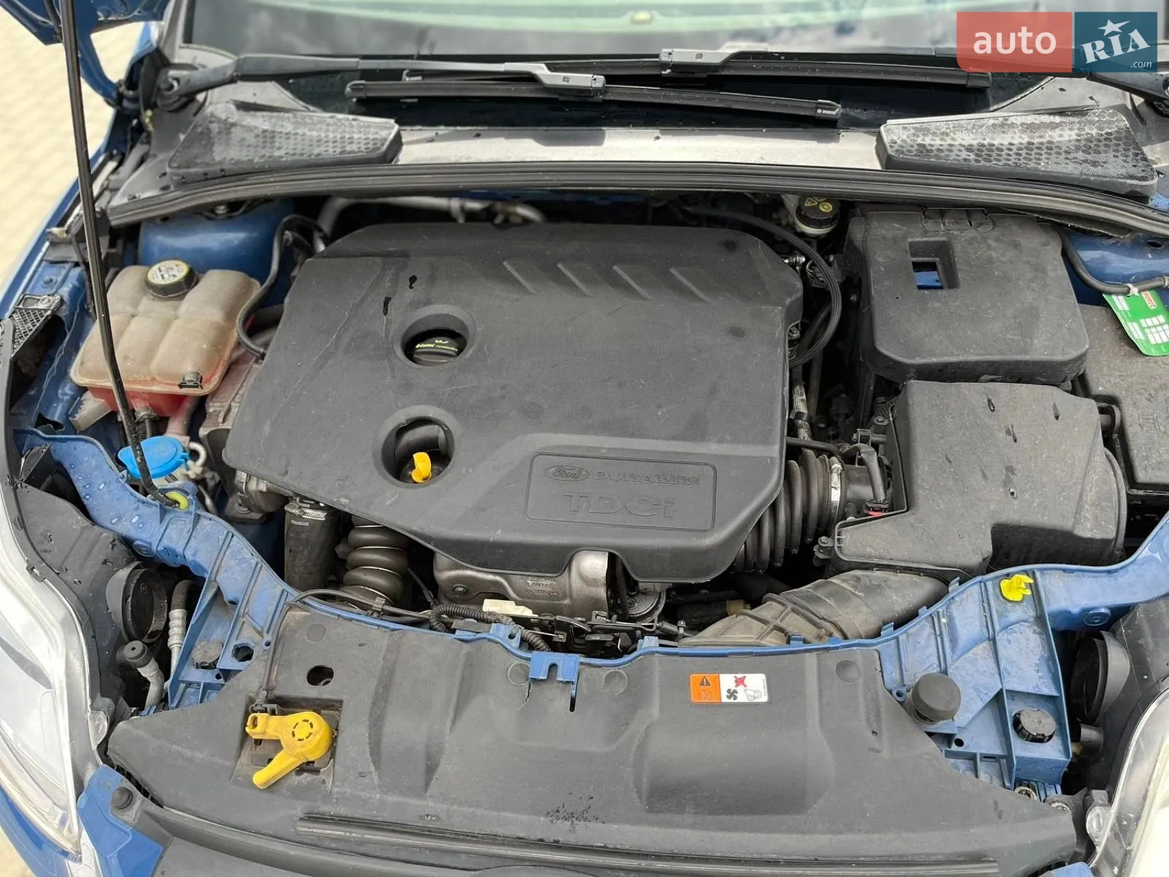 2014 Ford Focus - мініатюра 21