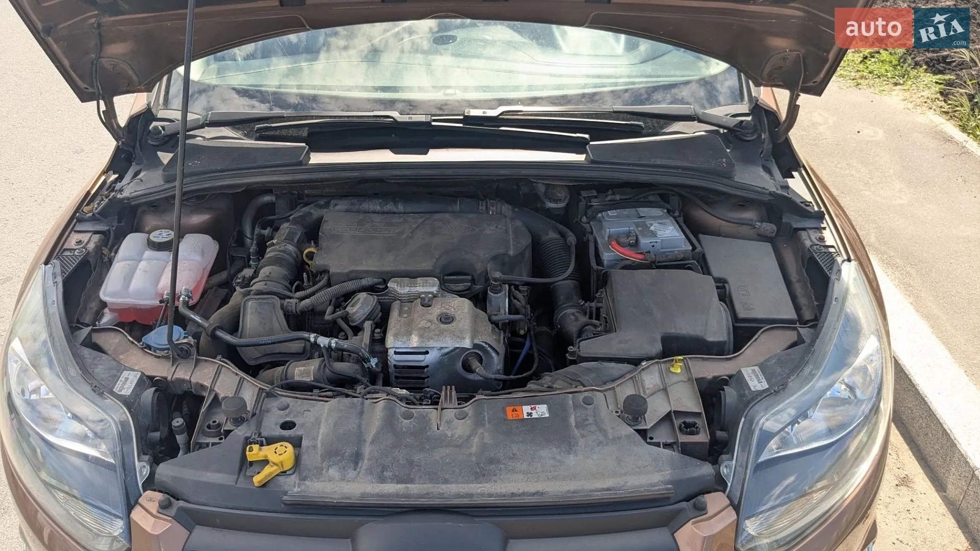 2013 Ford Focus - мініатюра 22
