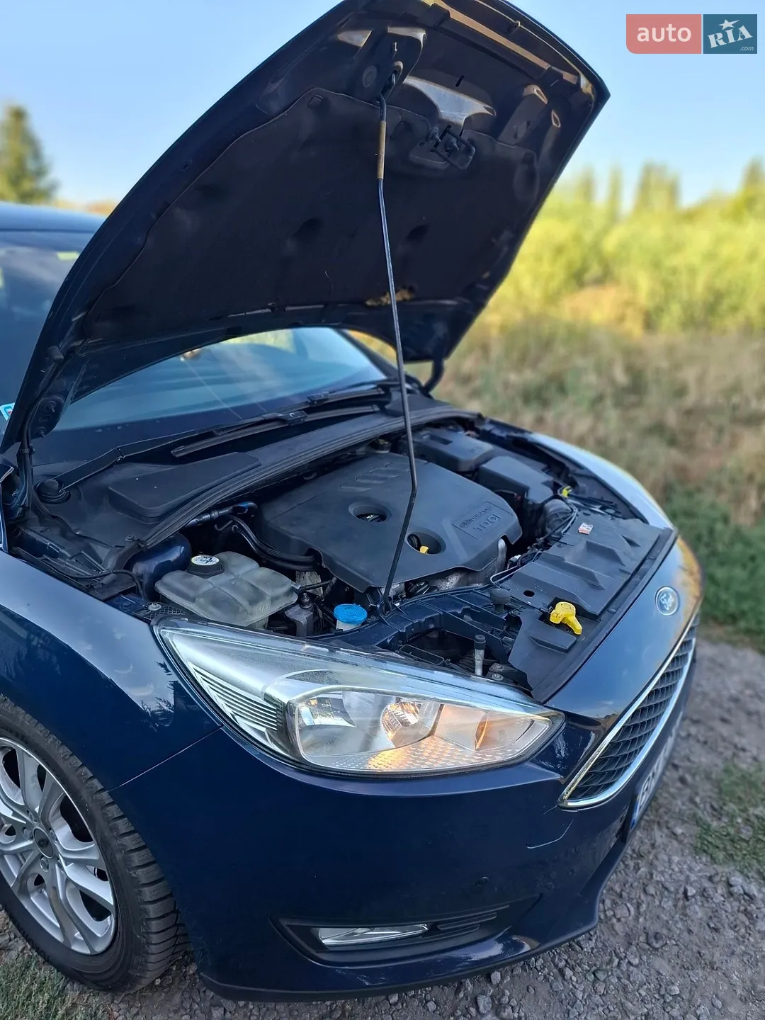 2015 Ford Focus - мініатюра 33