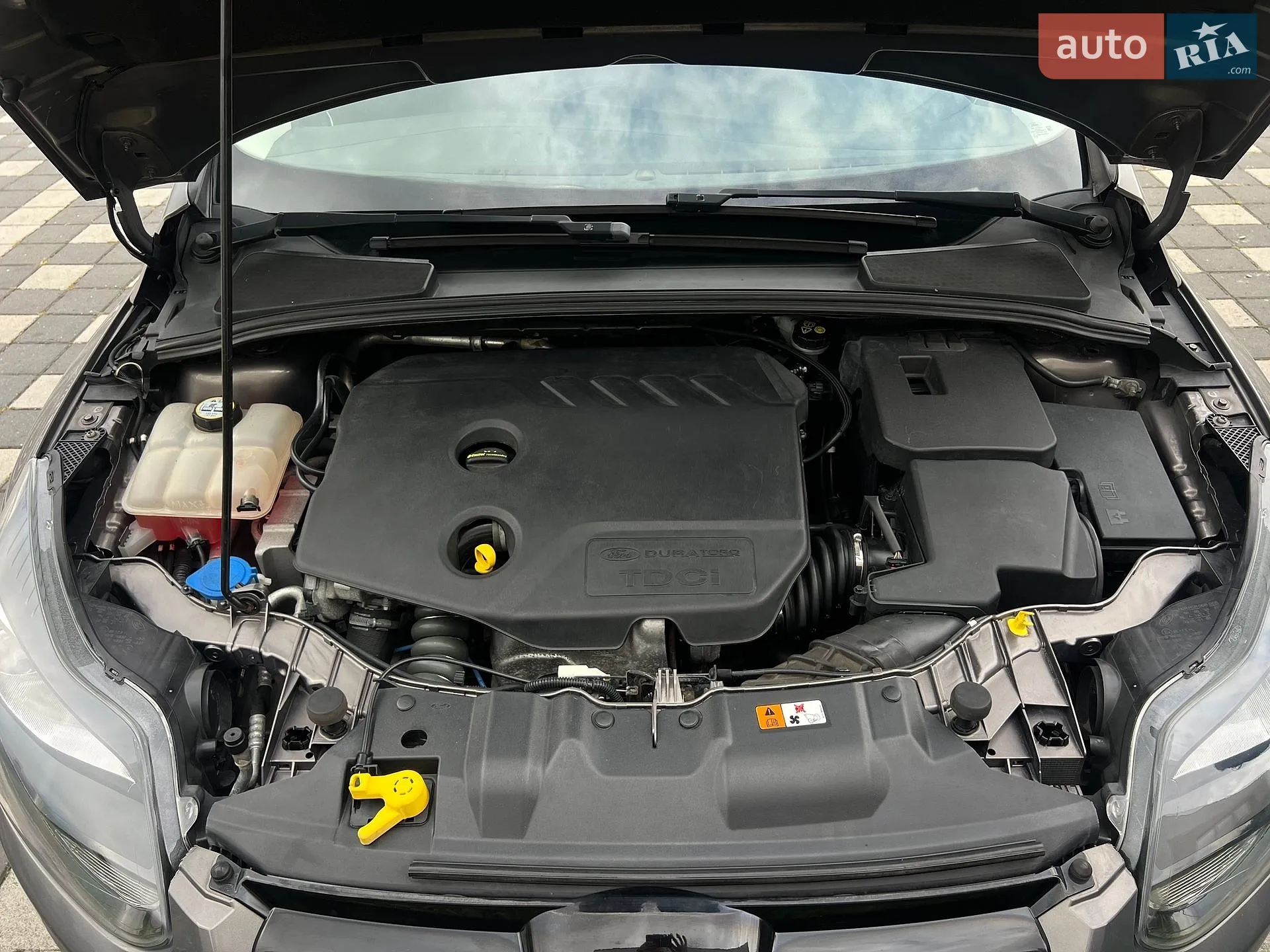 2013 Ford Focus - мініатюра 111