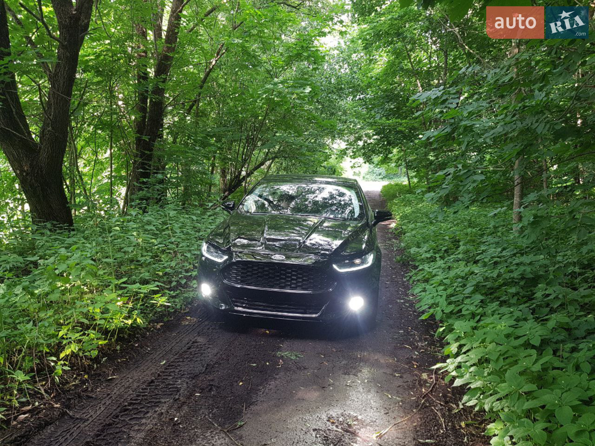2015 Ford Fusion - мініатюра 3