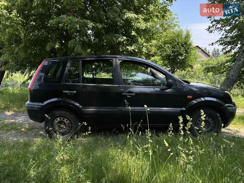 Хэтчбек Ford Fusion 2006 в Звягеле