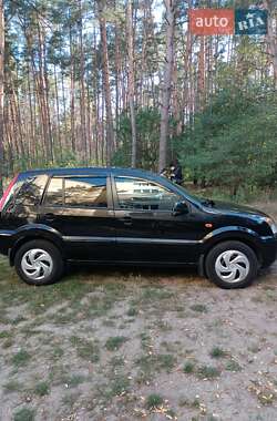 Хетчбек Ford Fusion 2010 в 