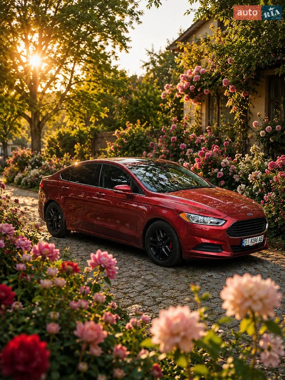 2014 Ford Fusion - мініатюра 18