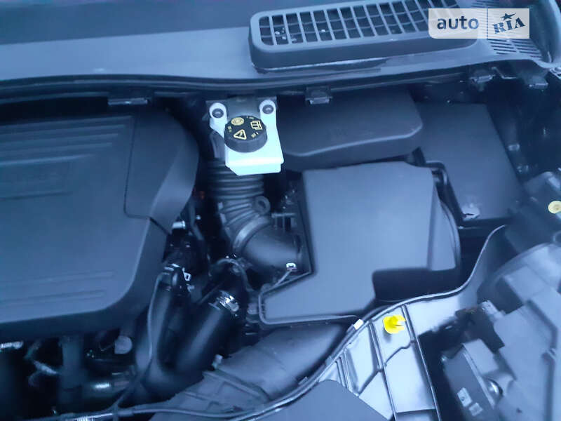 Внедорожник / Кроссовер Ford Kuga 2018 в Трускавце фото 28 Внедорожник / Кроссовер Ford Kuga 2018 в Трускавце