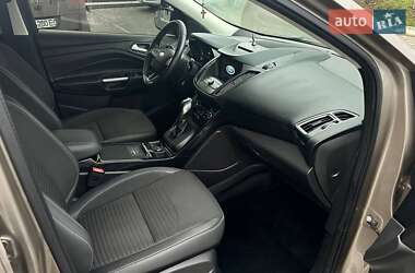 Внедорожник / Кроссовер Ford Kuga 2019 в 