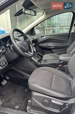 Внедорожник / Кроссовер Ford Kuga 2019 в 