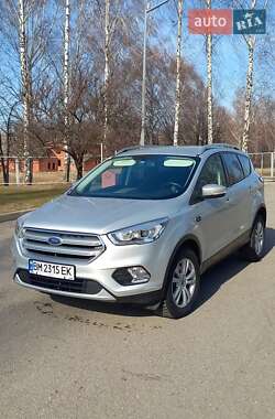 Внедорожник / Кроссовер Ford Kuga 2019 в 