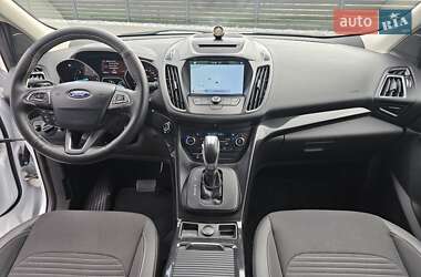 Внедорожник / Кроссовер Ford Kuga 2019 в 