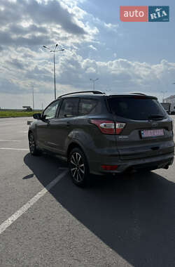 Внедорожник / Кроссовер Ford Kuga 2019 в 