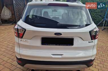 Внедорожник / Кроссовер Ford Kuga 2019 в 