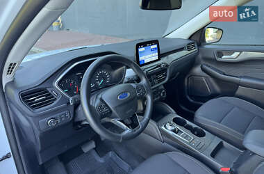 Внедорожник / Кроссовер Ford Kuga 2023 в 