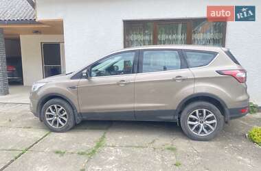 Внедорожник / Кроссовер Ford Kuga 2019 в 