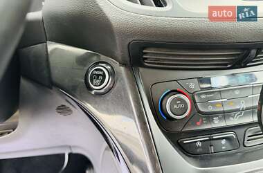 Внедорожник / Кроссовер Ford Kuga 2019 в 