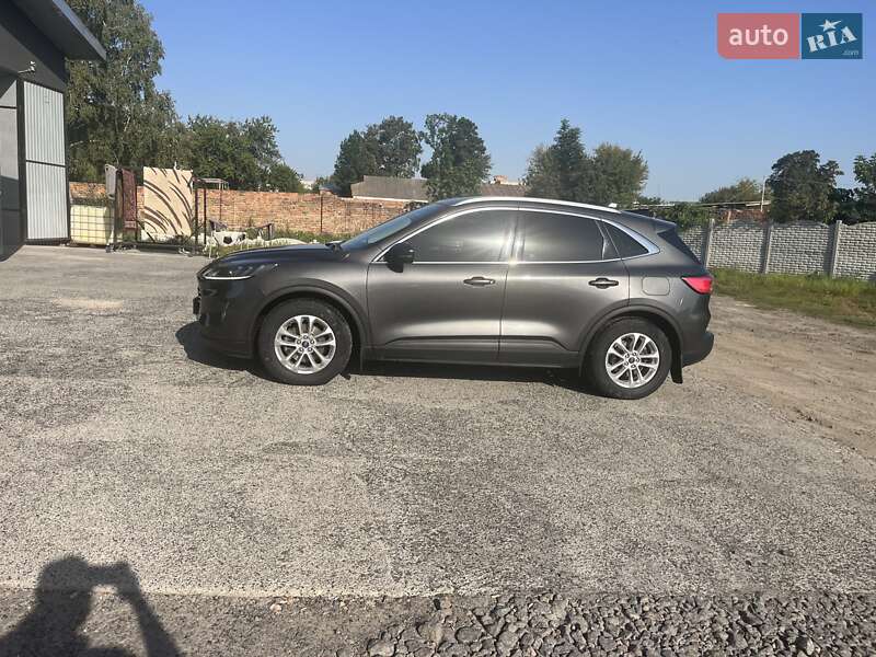 Внедорожник / Кроссовер Ford Kuga 2020 в Гайсине