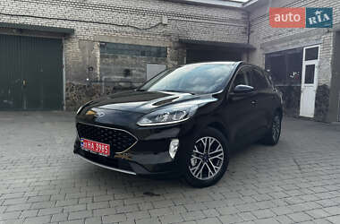 Внедорожник / Кроссовер Ford Kuga 2021 в Бродах