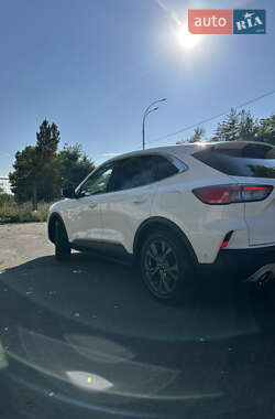 Внедорожник / Кроссовер Ford Kuga 2020 в 