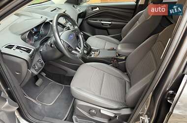 Внедорожник / Кроссовер Ford Kuga 2019 в 