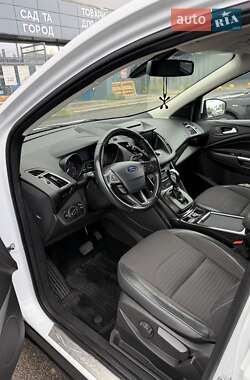 Внедорожник / Кроссовер Ford Kuga 2019 в 