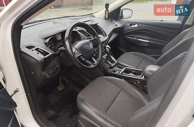 Внедорожник / Кроссовер Ford Kuga 2019 в 