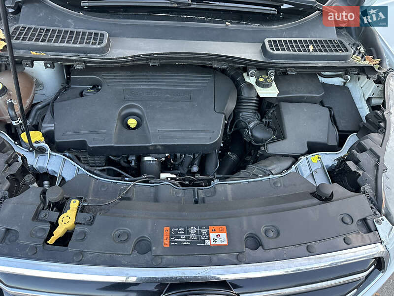 Внедорожник / Кроссовер Ford Kuga 2017 в Виннице фото 55 Внедорожник / Кроссовер Ford Kuga 2017 в Виннице