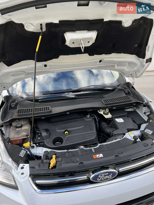 Позашляховик / Кросовер Ford Kuga 2013 в Луцьку