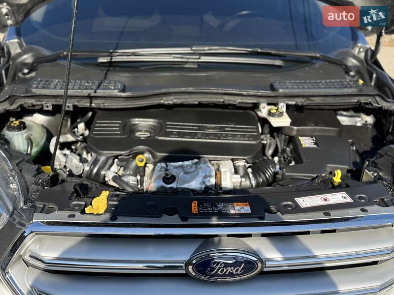 Внедорожник / Кроссовер Ford Kuga 2019 в Днепре