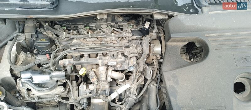 Внедорожник / Кроссовер Ford Kuga 2017 в Каменец-Подольском