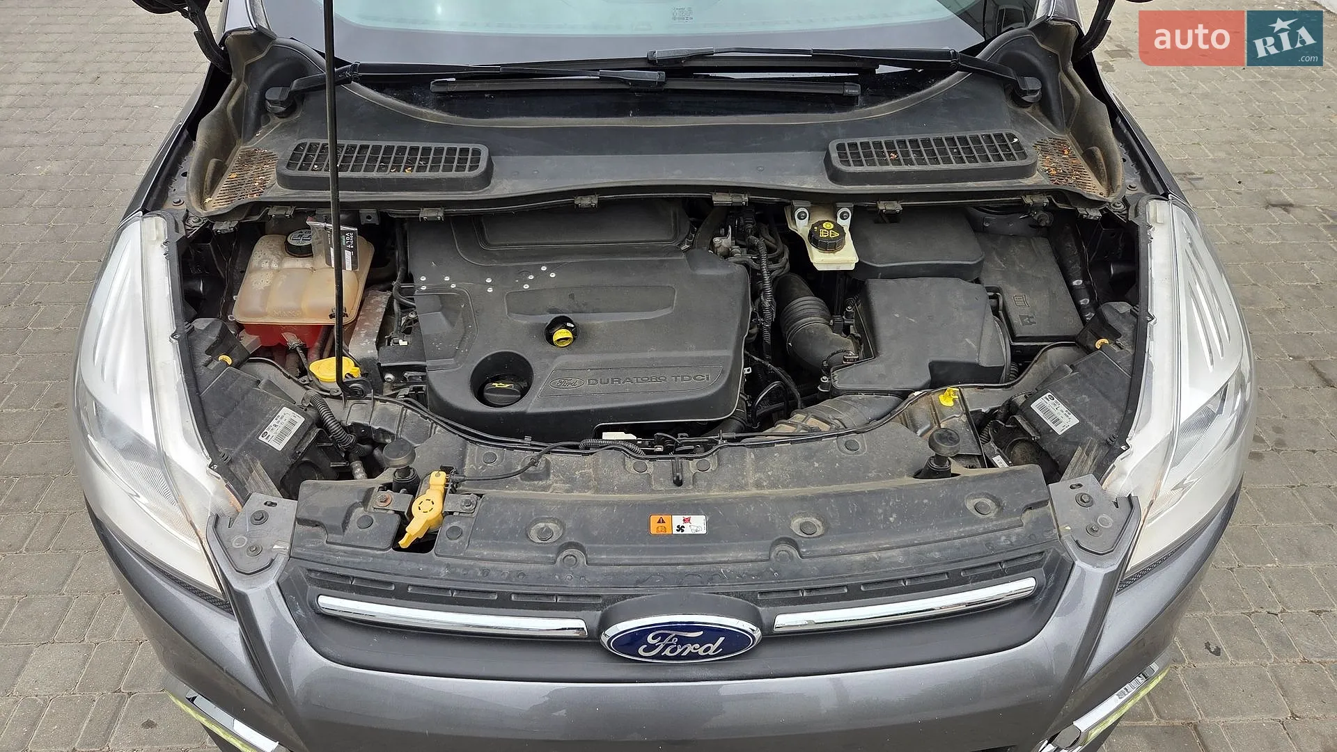 2013 Ford Kuga - мініатюра 37