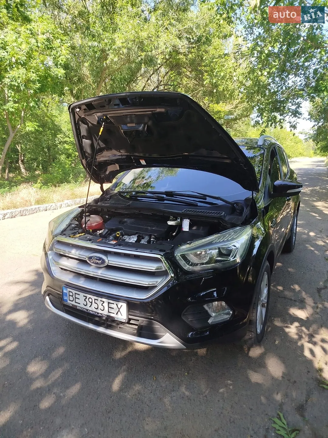 2019 Ford Kuga - мініатюра 13