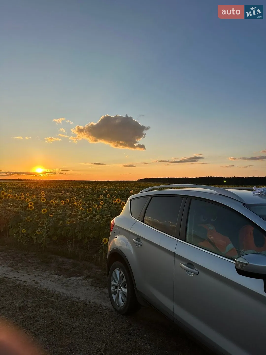 2011 Ford Kuga - мініатюра 3