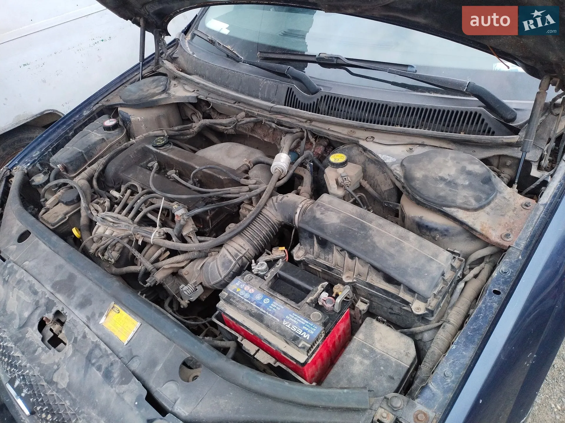 Ford Mondeo 2001 VIN WF0WXXGBBW1P21588 фото оголошення 5 з 6