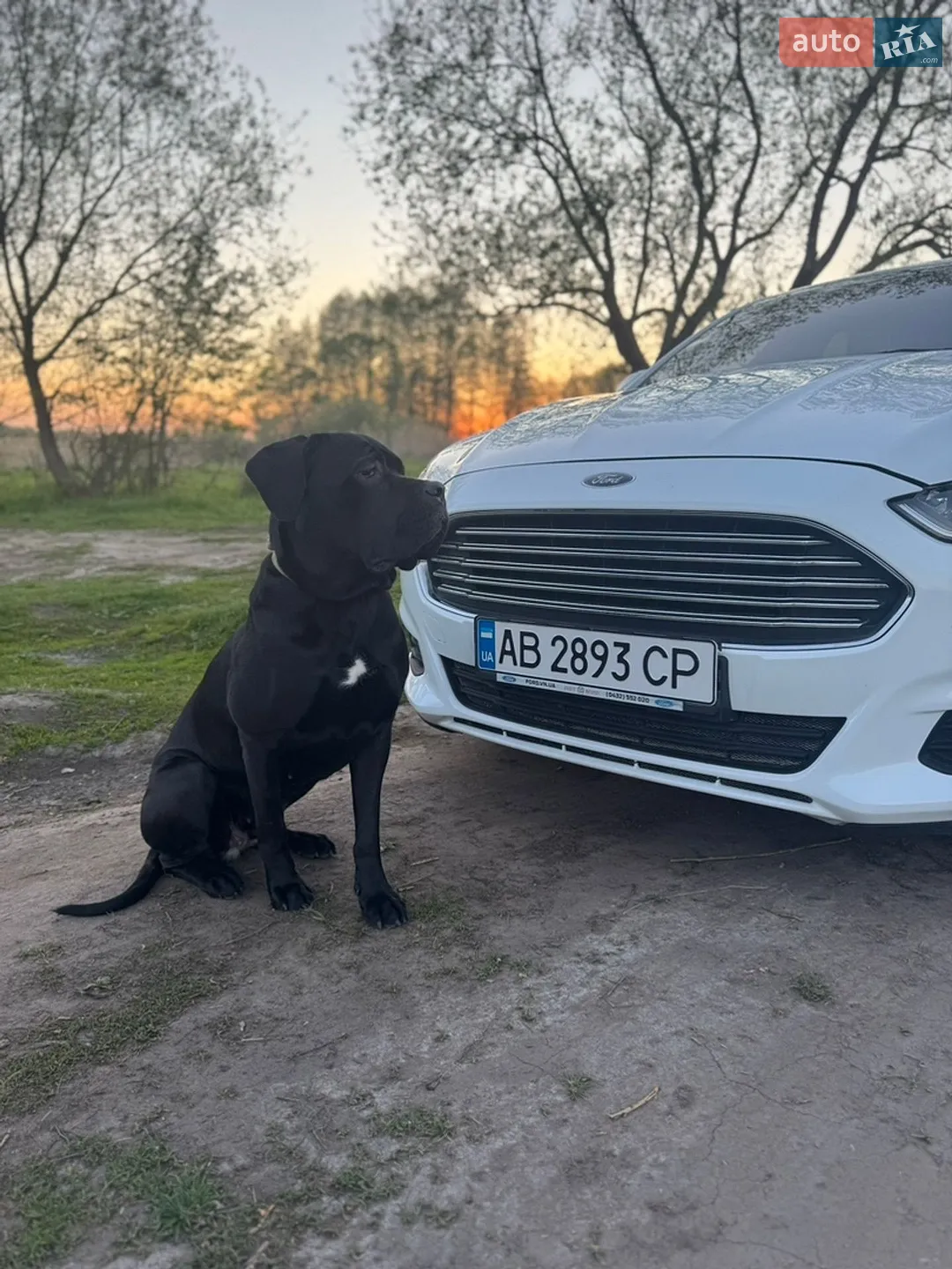 2017 Ford Mondeo - фото 1