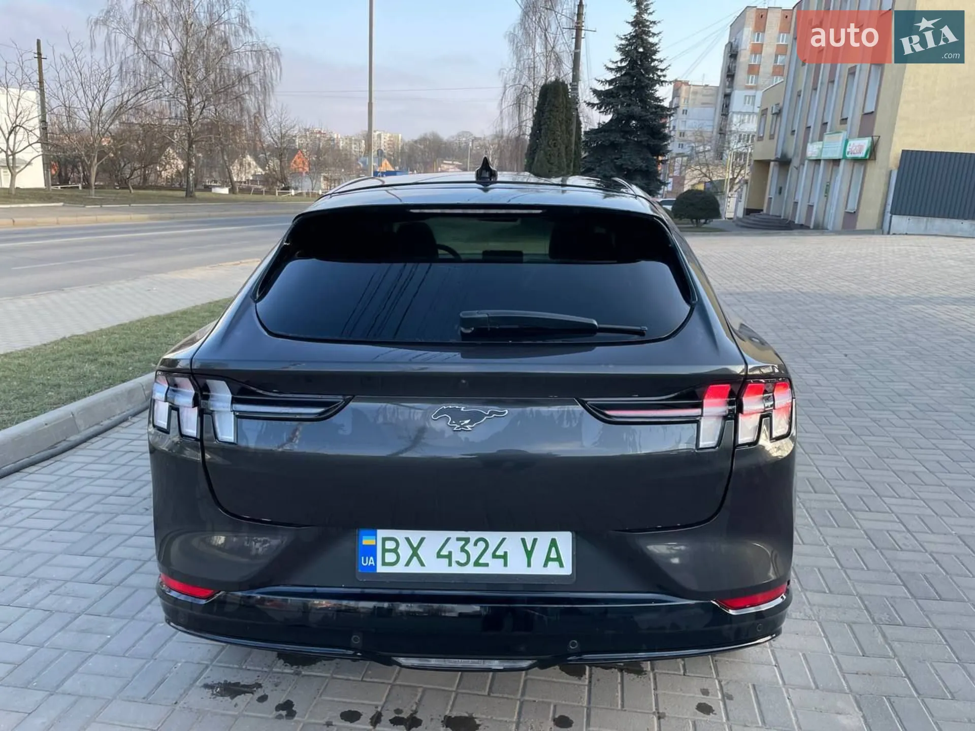 2021 Ford Mustang Mach-E - мініатюра 6